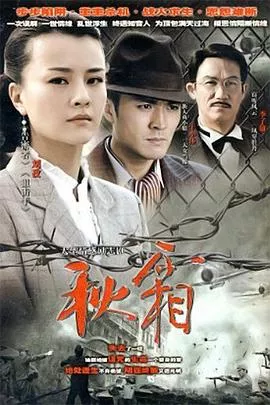 秋霜2010[电影解说]海报