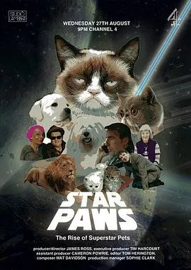 明星猫咪：明星宠物的崛起海报