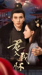 君入我怀海报
