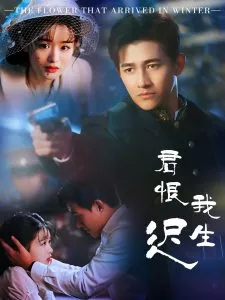 君恨我生迟海报