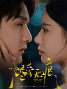 烬爱无痕海报