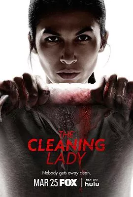 清洁工第四季 The Cleaning Lady Season 4海报