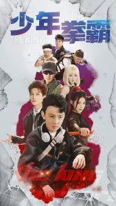 少年拳霸海报