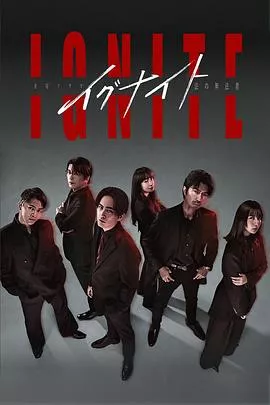 点燃：法之无法者海报