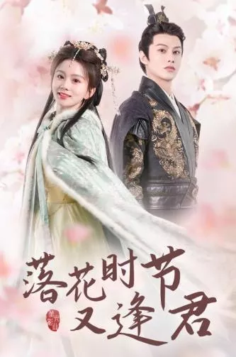 落花时节又逢君短剧海报