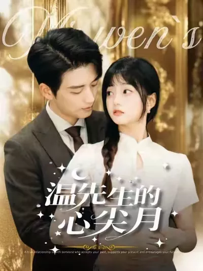 温先生的心尖月海报
