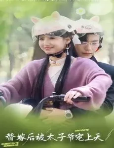替嫁后被太子爷宠上天海报