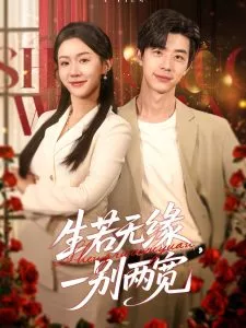 生若无缘，一别两宽海报