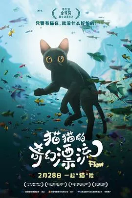 猫猫的奇幻漂流[电影解说]海报