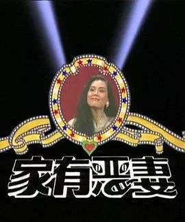 家有恶妻海报