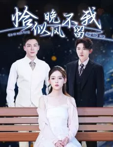 恰似晚风不留我＆弃他如风海报