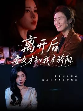 离开后妻女才知我本骄阳海报