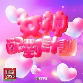 女神配对计划海报