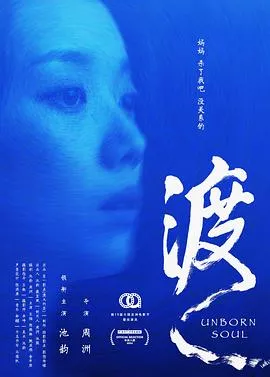 渡2024海报