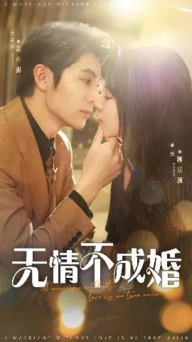 无情不成婚海报