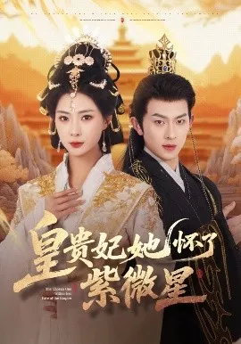 皇贵妃她怀了紫薇星海报