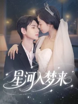 星河入梦来海报