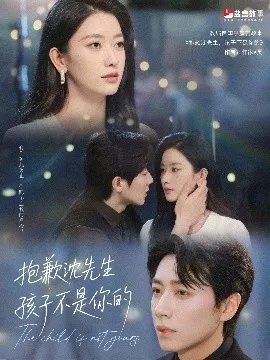 抱歉沈先生孩子不是你的海报