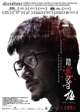 踏血寻梅粤语海报