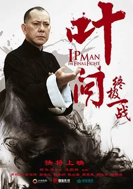叶问：终极一战国语海报