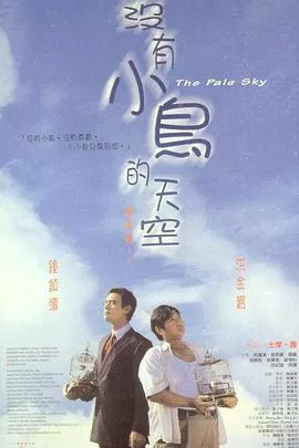 没有小鸟的天空粤语海报