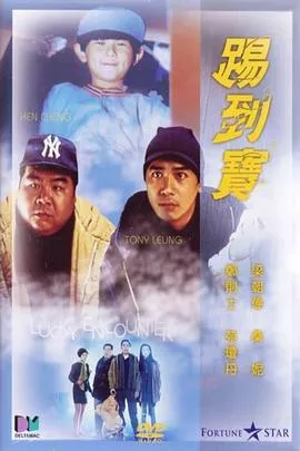 踢到宝国语海报