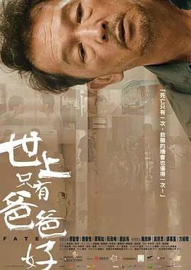 世上只有爸爸好国语海报