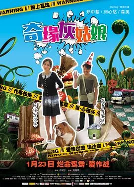 奇缘灰姑娘粤语海报