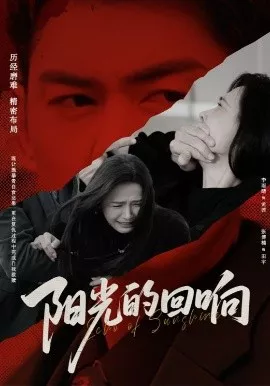 阳光的回响海报