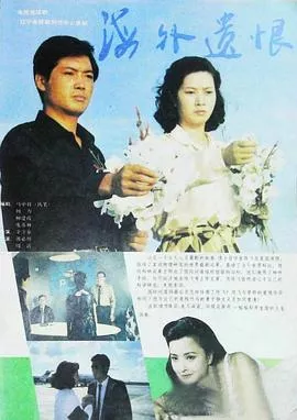 海外遗恨海报