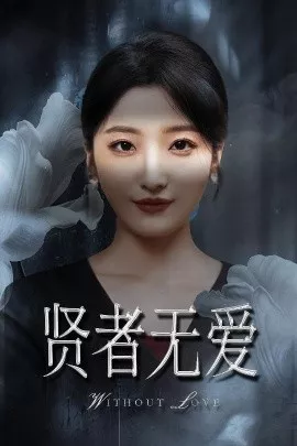 贤者无爱海报