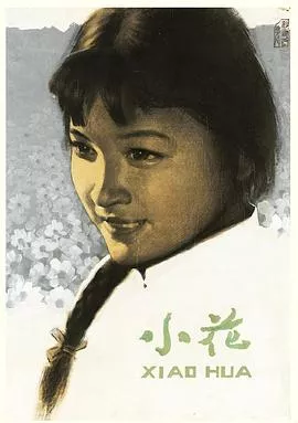 小花[电影解说]海报