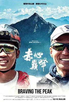 赤心巔峰海报