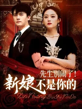 先生别闹了新娘不是你的海报
