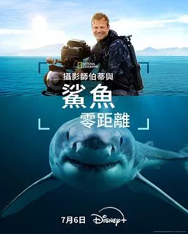 摄影师贝尔蒂与鲨鱼零距离海报