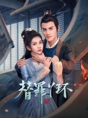 替罪丫环海报