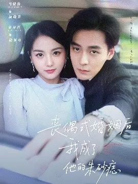 丧偶式婚姻后我成了他的朱砂痣海报