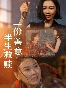 一份善意半生救赎海报