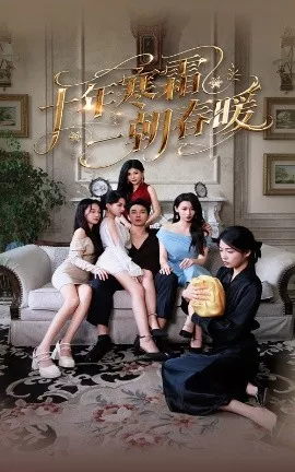 十年寒霜一朝春暖海报