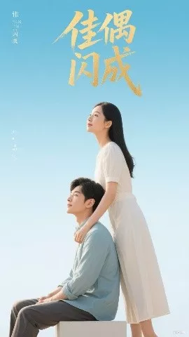 佳偶闪成&假婚真爱海报