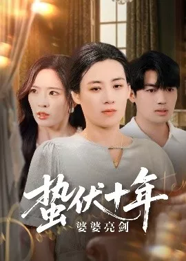 蛰伏十年婆婆亮剑海报