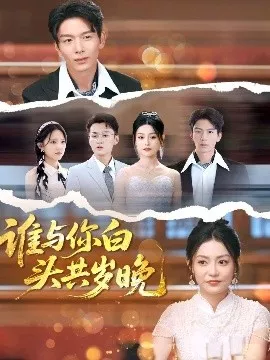 谁与你白头共岁晚海报