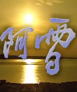 阿雪海报