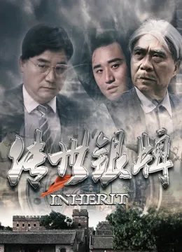 传世银牌海报