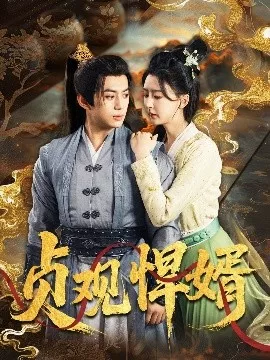 贞观悍婿海报
