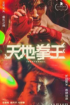 天地拳王粤语海报