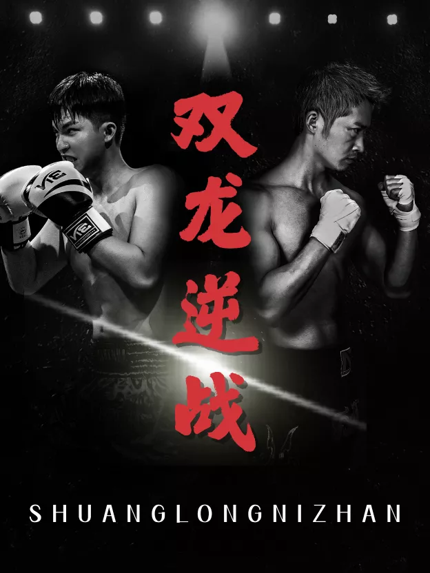 双龙逆战海报