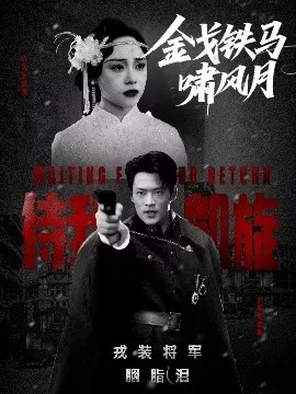 金戈铁马啸风月海报