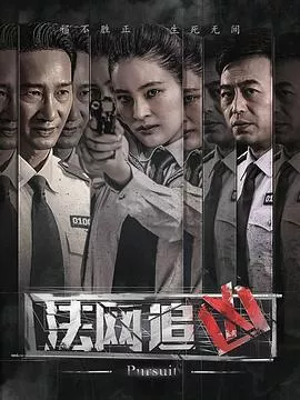法网追凶[电影解说]海报