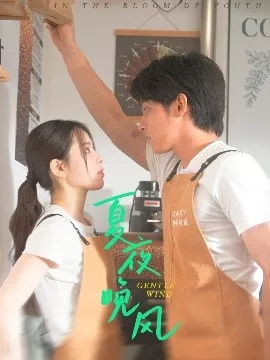 夏夜晚风海报